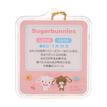 Load image into Gallery viewer, Japan Sanrio Miniature Package Charm Keychain