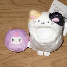 Carica l'immagine nel visualizzatore di Gallery, Japan Sanrio Cinnamoroll / Hello Kitty / My Melody / Kuromi / Pochacco / Pompompurin Plush Doll Soft Toy (Really Like Cat)