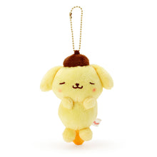 Carica l'immagine nel visualizzatore di Gallery, Japan Sanrio Acupoint Press Plush Doll Keychain