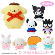 Load image into Gallery viewer, Japan Sanrio PVC Mascot Brooch Blind Box (Characters Ranking)
