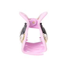 Load image into Gallery viewer, Japan Sanrio Vance Hair Clip Claw Clip (Flocking)
