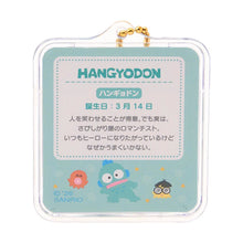 Carica l'immagine nel visualizzatore di Gallery, Japan Sanrio Miniature Package Charm Keychain
